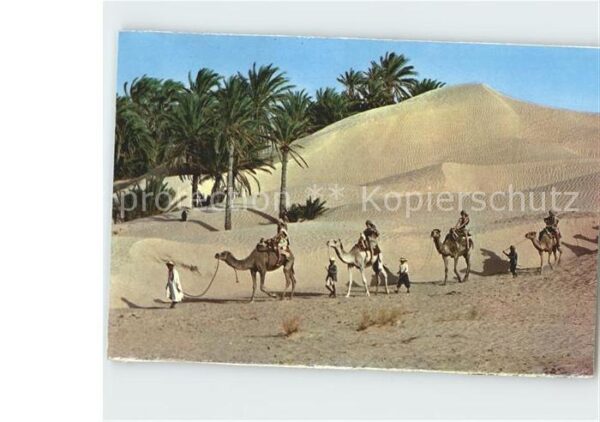 Tunis Karawane Sahara Kamel