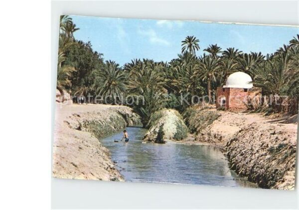 Tozeur Fluss Marabutsgrab Oase