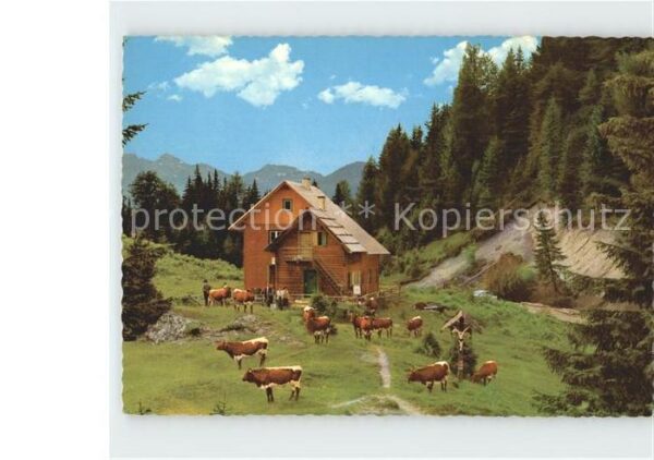 Weissensee Kaernten Naggleralm