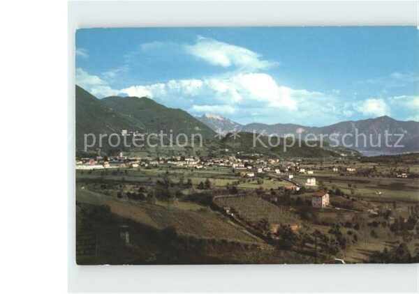 Pergine