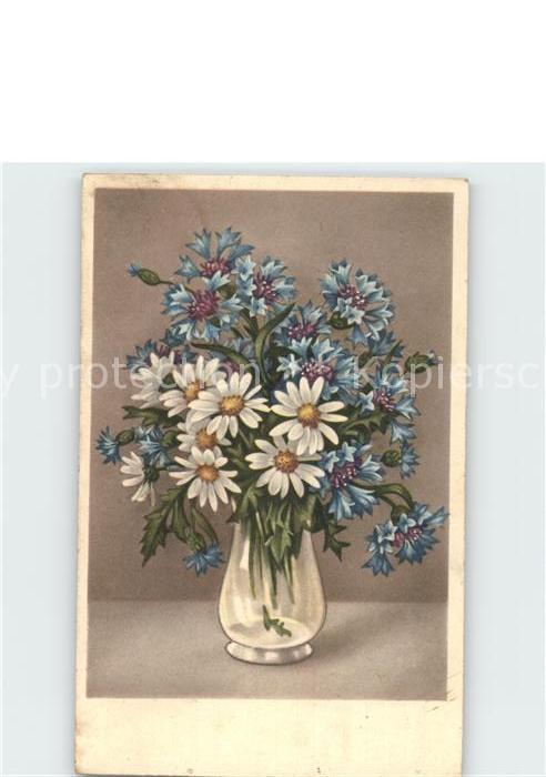 Blumen Margeriten Kornblumen Vase