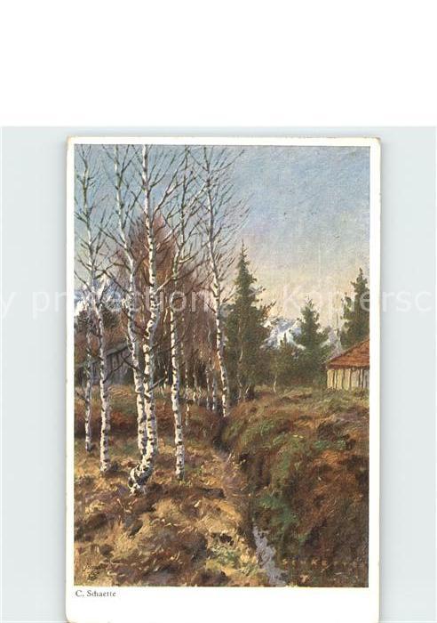 Verlag Primus Nr. 3416 C. Schaette Im Moorland