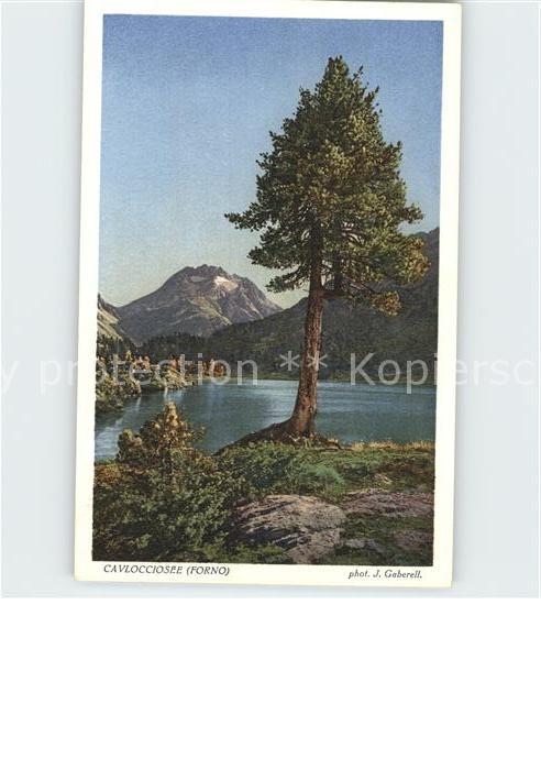 Foto Gaberell J. Nr. 5035 Cavlocciosee Forno
