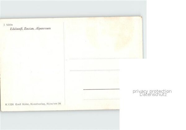 Edelweiss Enzian Alpenrosen Künstlerkarte J. Schö – Bild 2