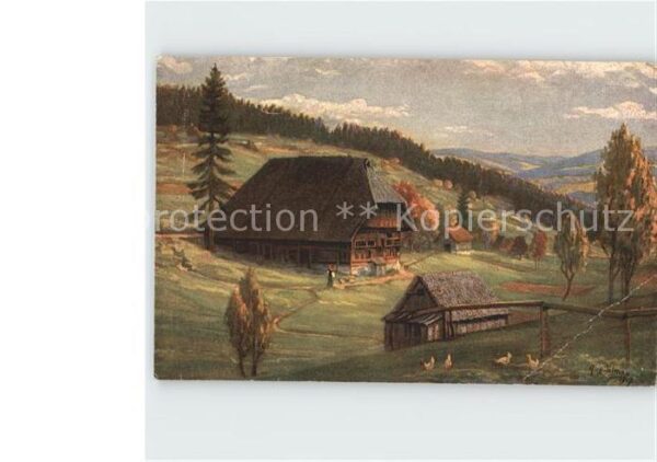 Simon A. Herbststimmung Schwarzwald