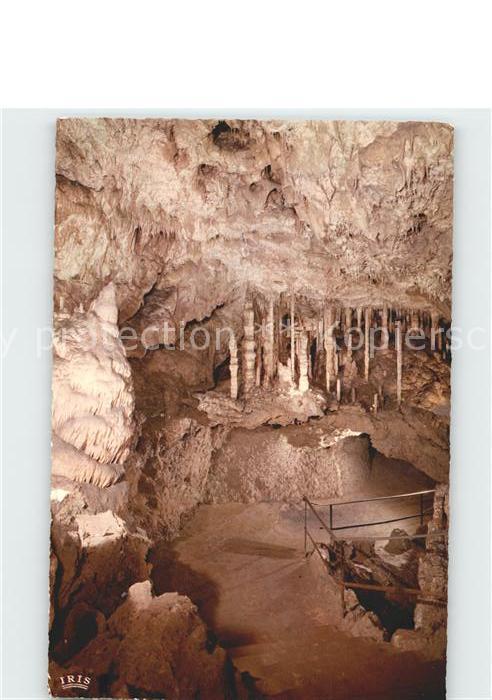 Hoehlen Caves Grottes Han-sur-Lesse Foret