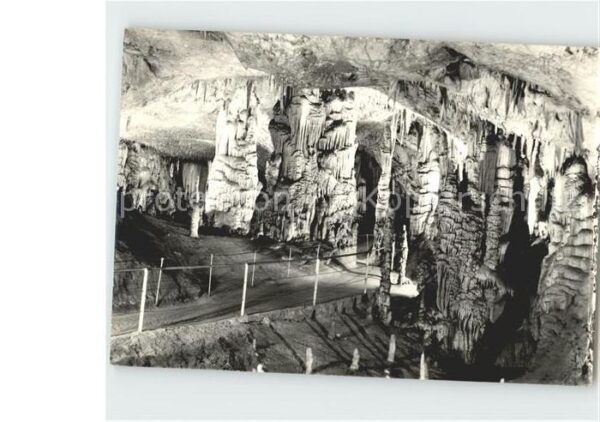 Hoehlen Caves Grottes Postojna Vhod v lepe jame Slovenija Jug