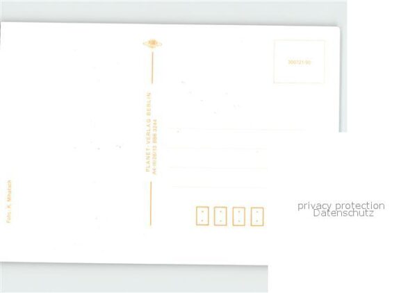 Pferde Fohlen – Bild 2