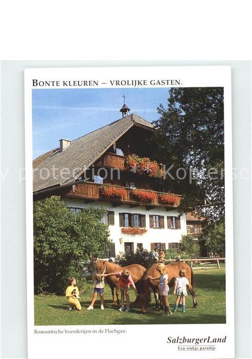 Pferde Kinder Bonte Kleuren Salzburger Land