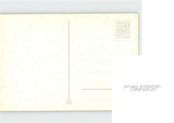 Kuehe – Bild 2