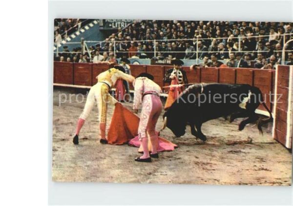 Stierkampf Corrida Descabello
