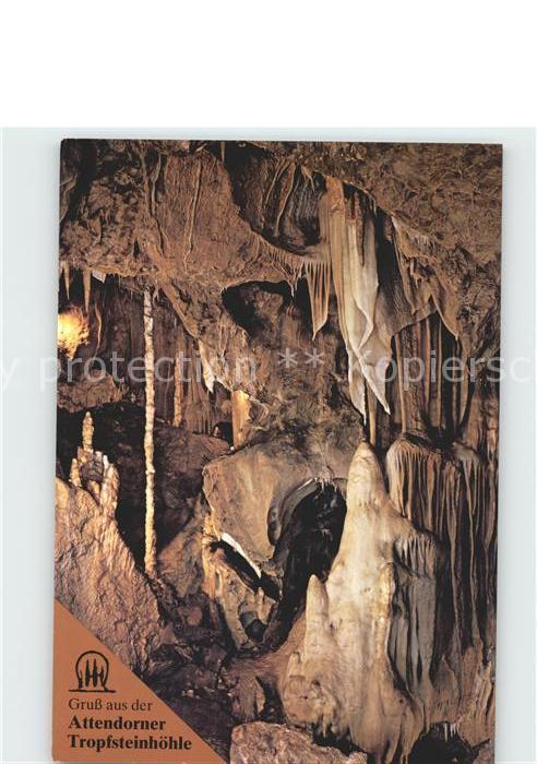 Hoehlen Caves Grottes Attendorn Tropfsteinhöhle Eisbär