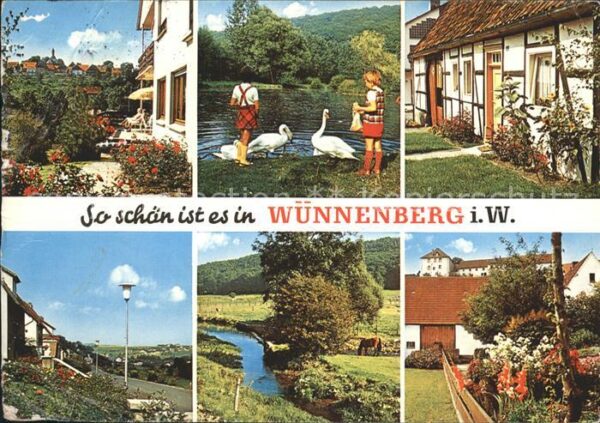 Wuennenberg Bad Schwäne