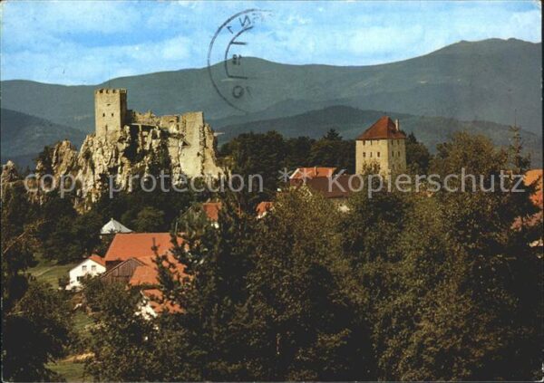 Regen Burgruine Weissenstein
