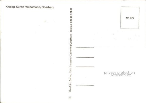 Wildemann – Bild 2
