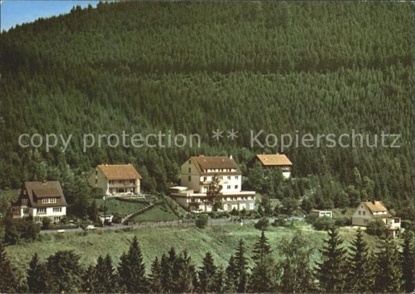 Wildemann Wald