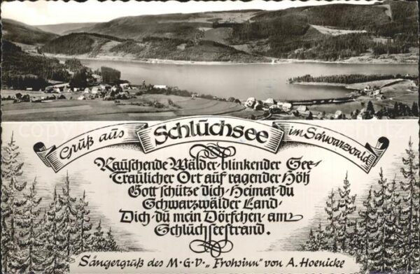 Schluchsee Panorama
