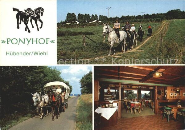 Huebender Ponyreiten Pferdekutsche Hotel Restaura