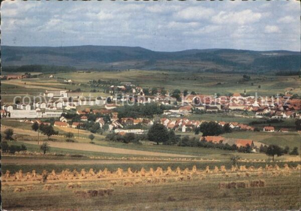 Oberviechtach Panorama