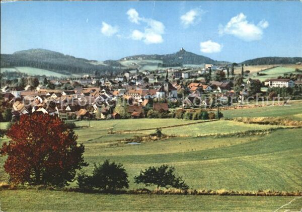 Oberviechtach Panorama