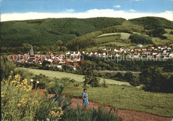 Waldkappel Panorama