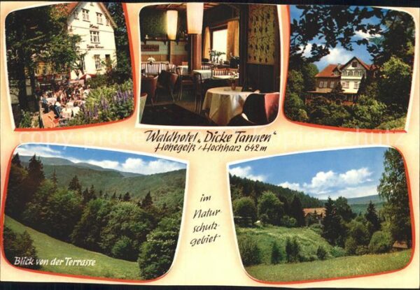 Hohegeiss Harz Waldhotel Dicke Tannen Gastraum Blick v