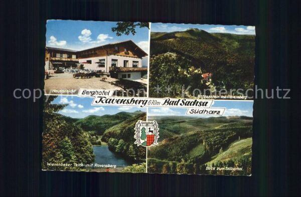 Bad Sachsa Harz Berghotel Ravensberg Katzenstein Wiesen