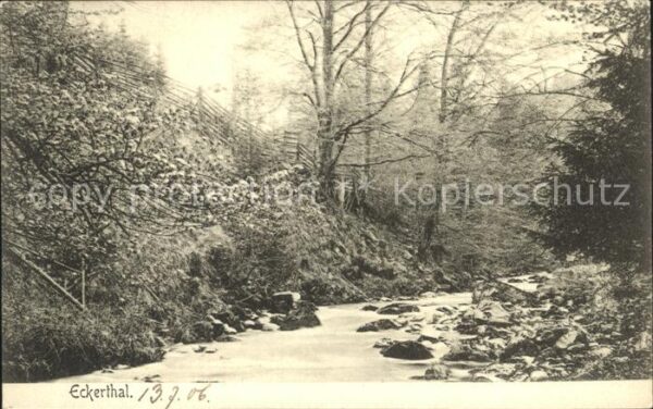 Eckertal Partie am Fluss