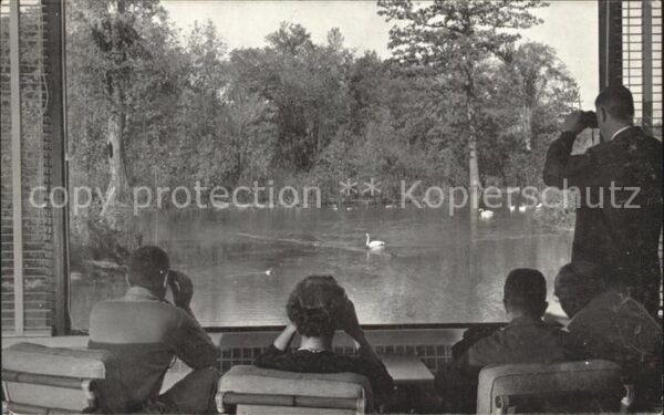 Ithaca New York Watching Waterfowl from the Observatory
