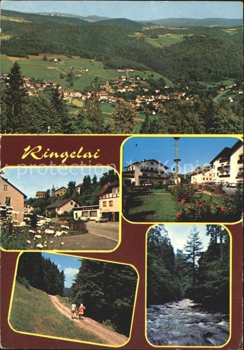 Ringelai Panorama Bayerischer Wald Wanderweg Flu