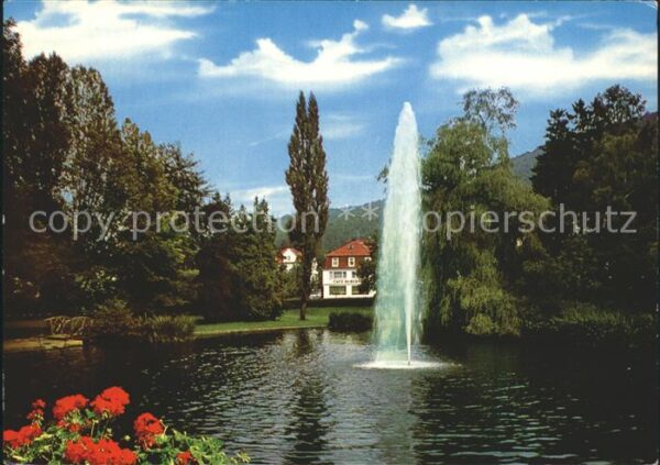 Reinhardshausen Schwanenteich mit Fontäne