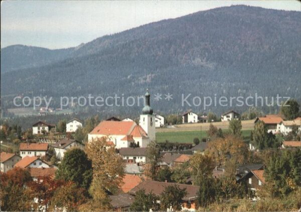Arnbruck Ortsansicht mit Kirche Erholungsort im