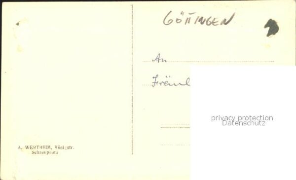 Goettingen Niedersachsen Portrait eines Mannes – Bild 2