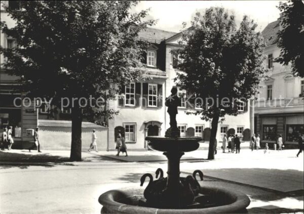 Weimar Thueringen Schillerhaus mit Gänsemännchenbrunnen