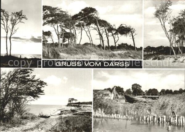Darss Region Ostsee Küstenansichten