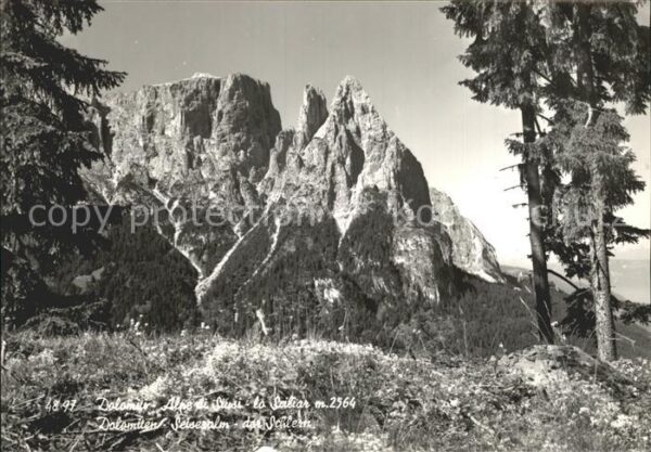 Dolomiten Seisenalm