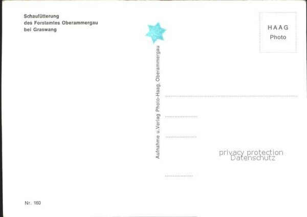 Graswang Schaufütterung Wild – Bild 2