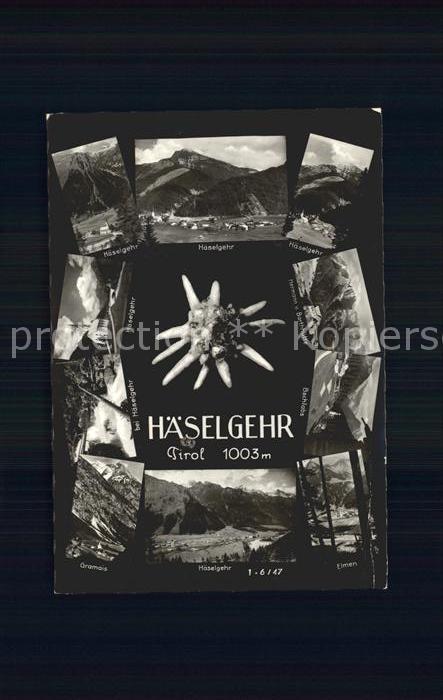 Haeselgehr