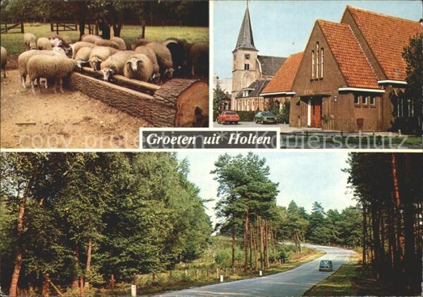 Holten Rijssen Schapen omgeving Harlerberg Kerk en geb