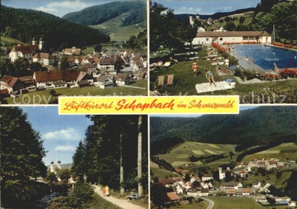 Schapbach Panorama Luftkurort im Schwarzwald Frei