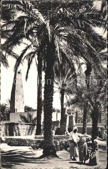 Ghardaia Paysage dans L_Oasis