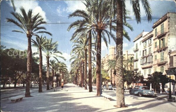 Mallorca Paseo de Sagrera