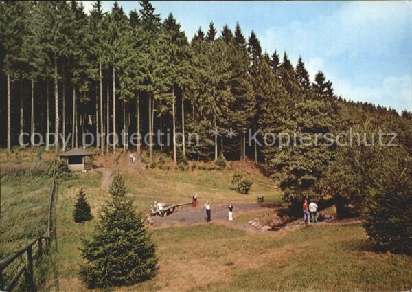 Usseln Wald