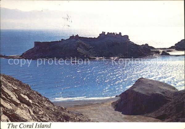 Israel Coral Island