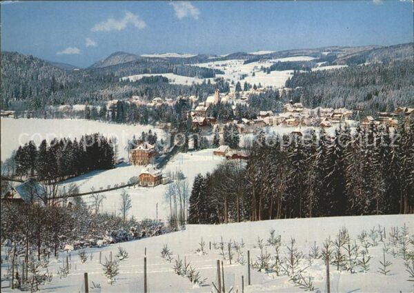 Titisee Panorama im Winter