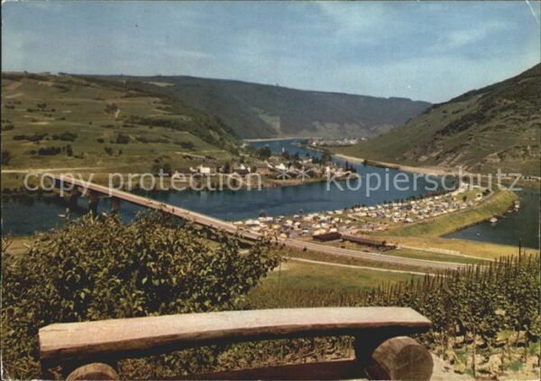 Senheim-Senhals Blick auf die Mosel