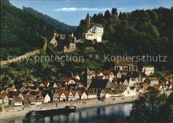 Hirschhorn Neckar Teilansicht