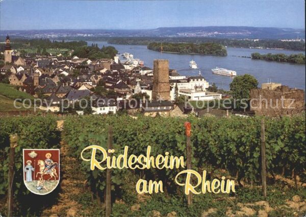 Ruedesheim Rhein Panorama