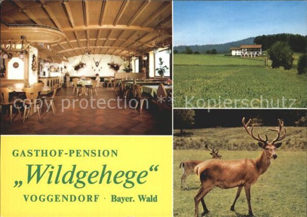 Voggendorf Grafenwiesen Gasthof Pension Wildgehege Gastraum Hir