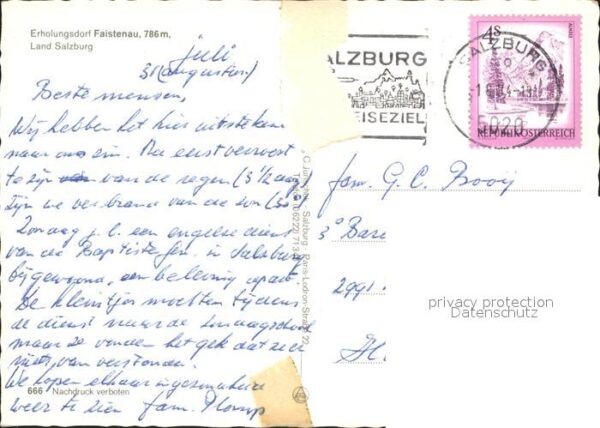 Faistenau Salzburg Ortsansicht Alpenflora – Bild 2